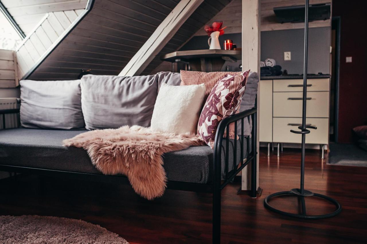 Apartmany Rudik Železná Ruda エクステリア 写真