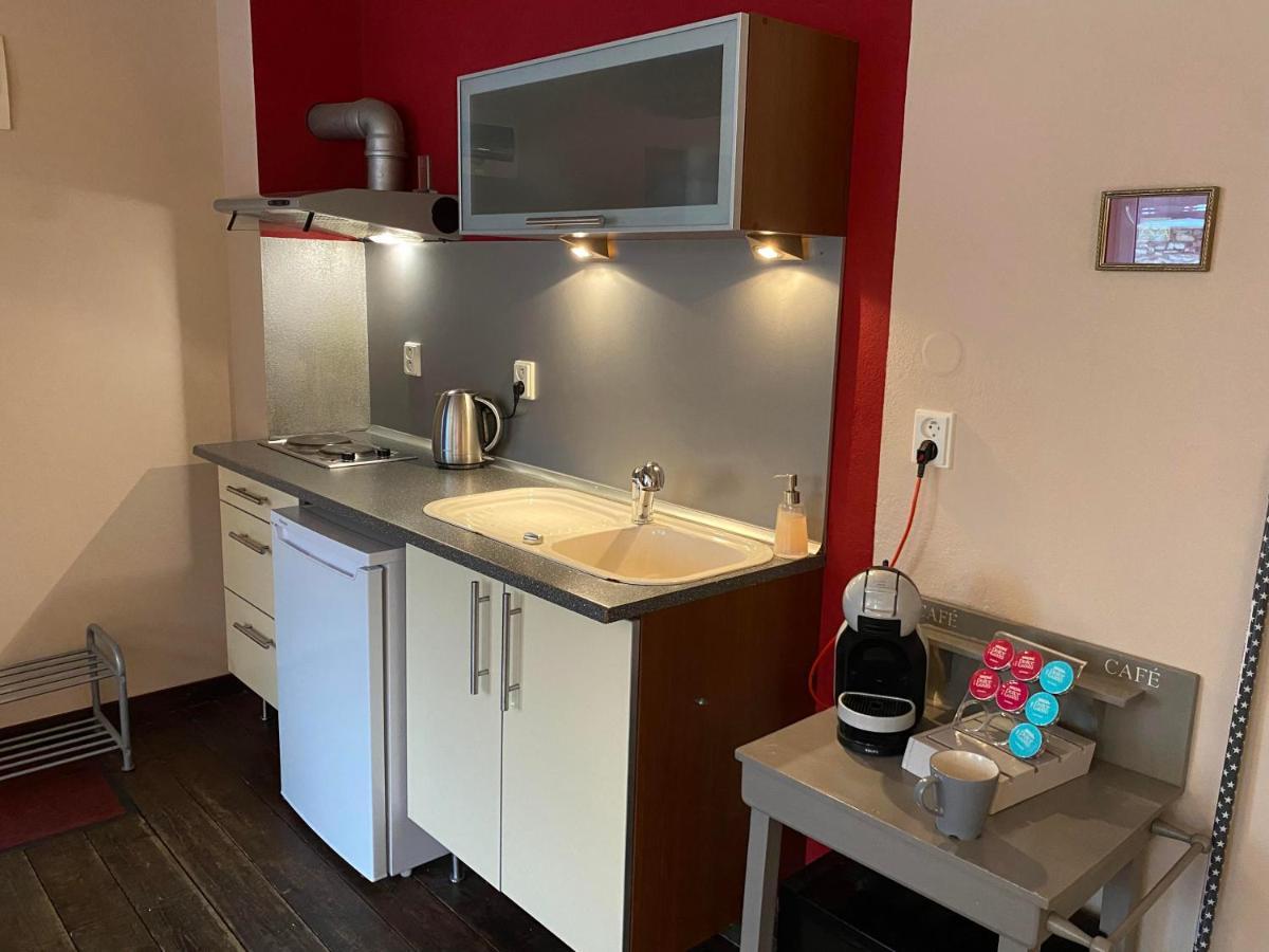 Apartmany Rudik Železná Ruda エクステリア 写真