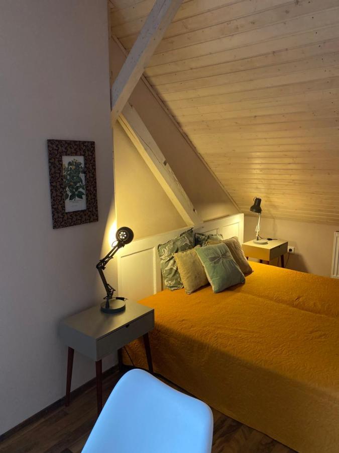 Apartmany Rudik Železná Ruda エクステリア 写真