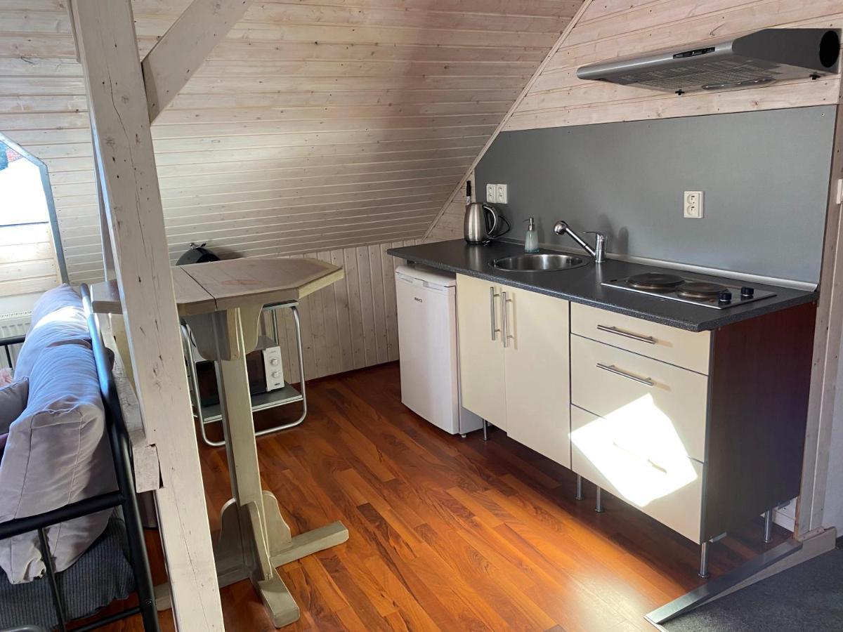 Apartmany Rudik Železná Ruda エクステリア 写真