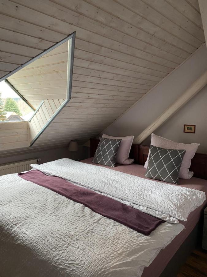 Apartmany Rudik Železná Ruda エクステリア 写真
