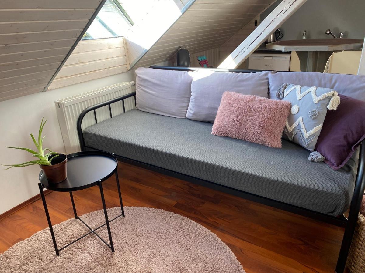 Apartmany Rudik Železná Ruda エクステリア 写真